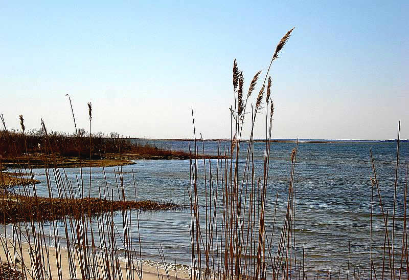 Shirley NY - Smith Point Beach