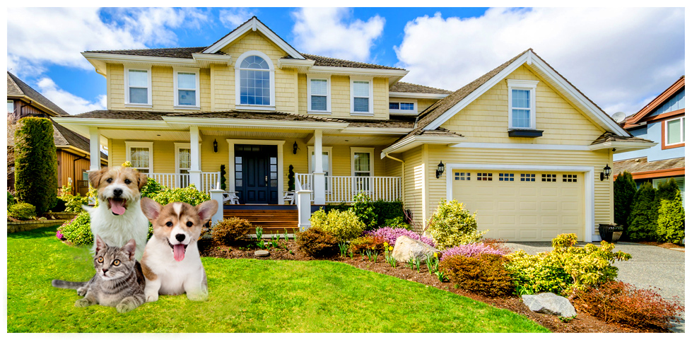 Nassau County Pet Friendly Rentals