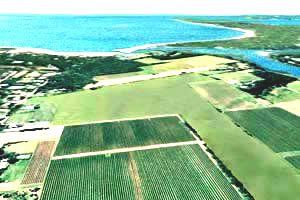 North Fork Land For Sale